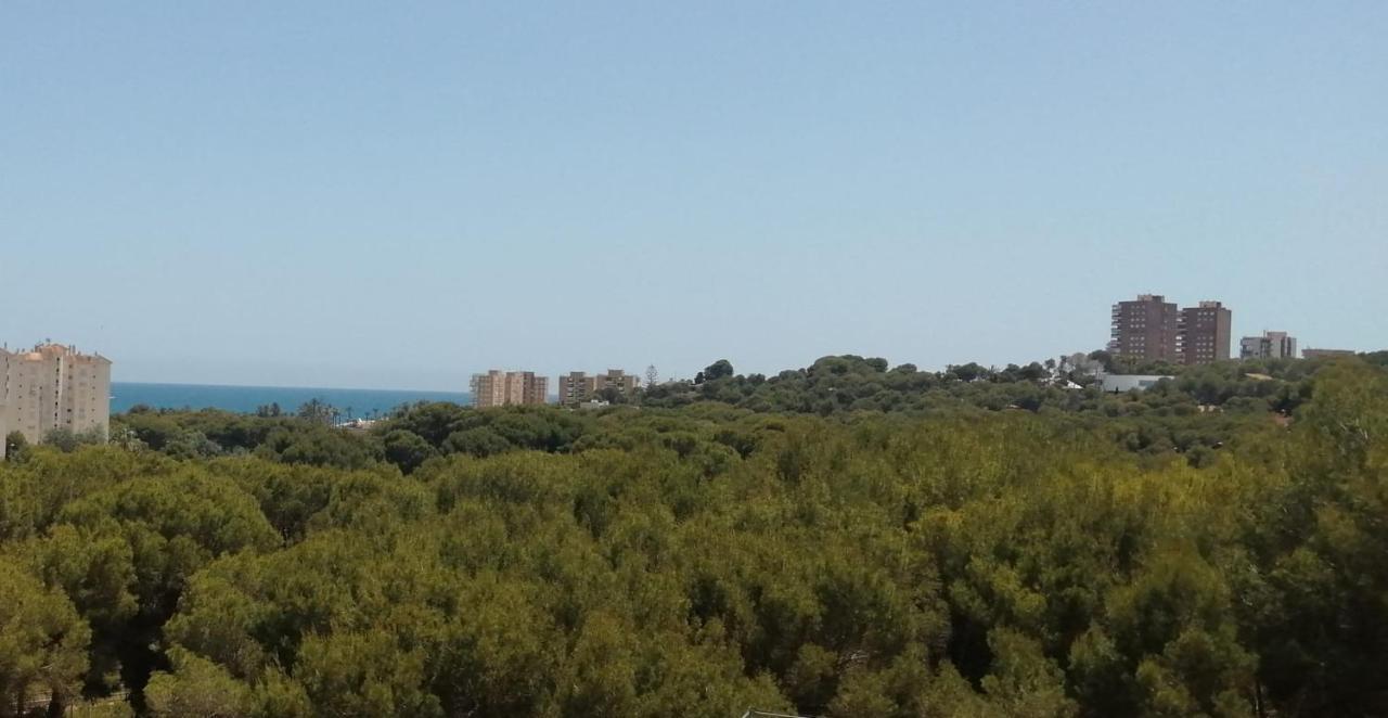 Campoamor Seaview Exteriör bild